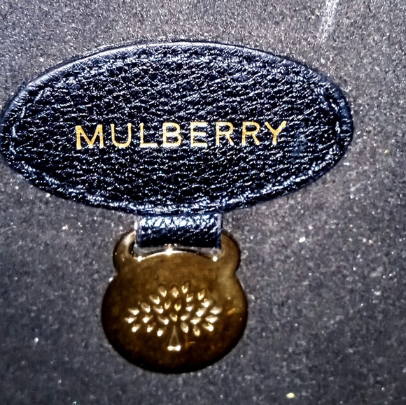 Mulberry medium lily bag - Picture 3 of 9